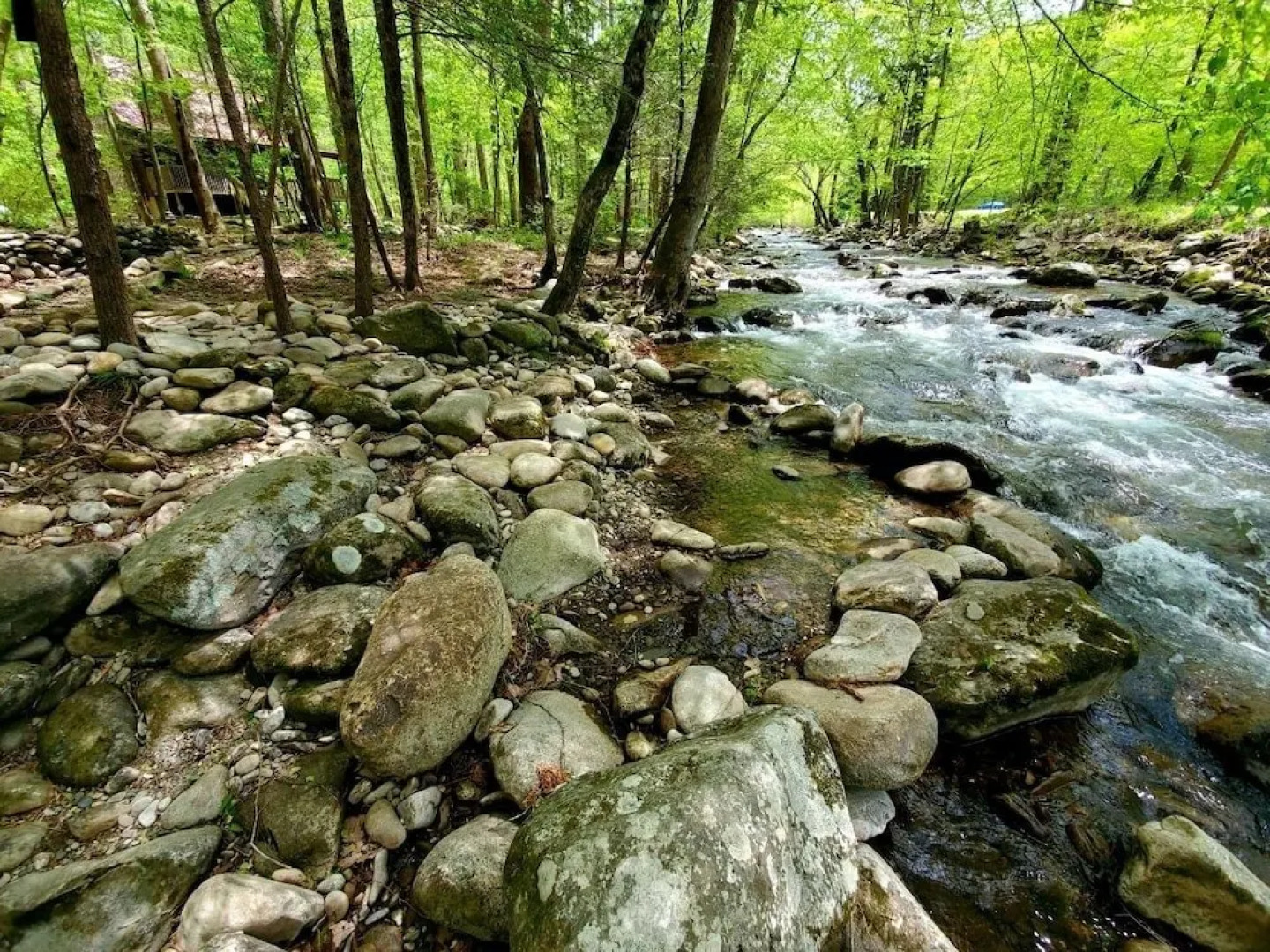 Elk Run On Cosby Creek - 2 Bedrooms, 2 Baths, Sleeps 7 Cabin by RedAwning