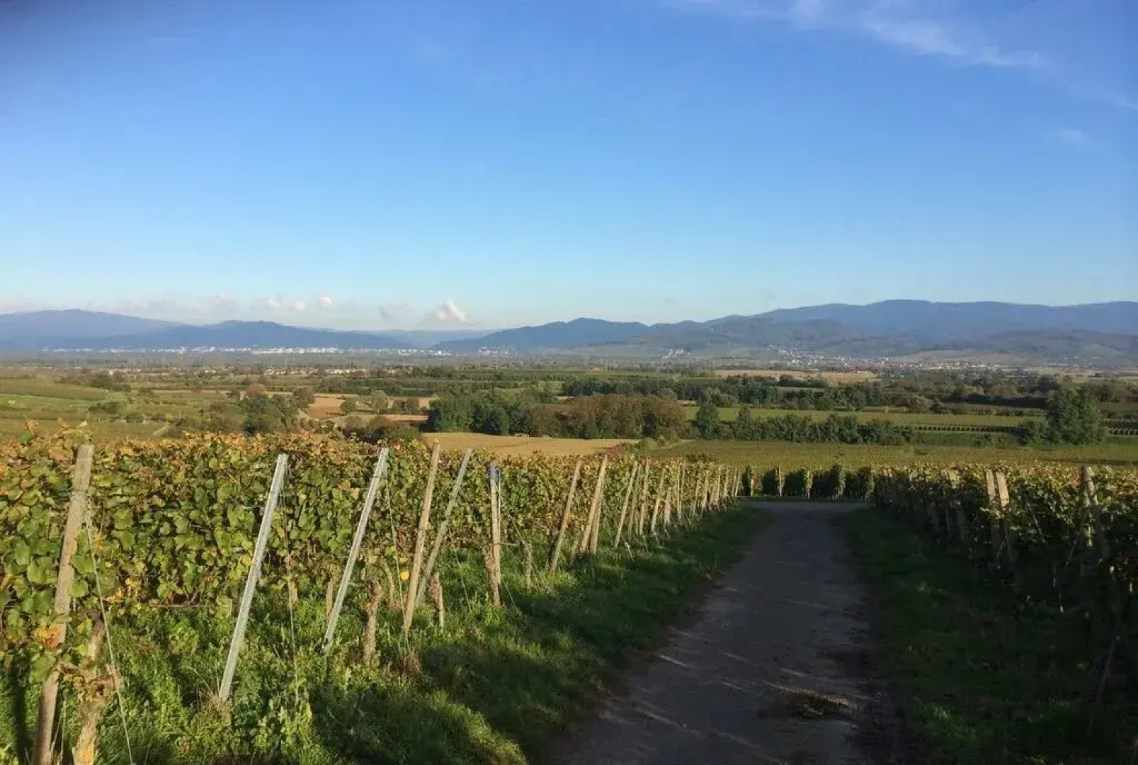 Gasthaus zum Hirschen