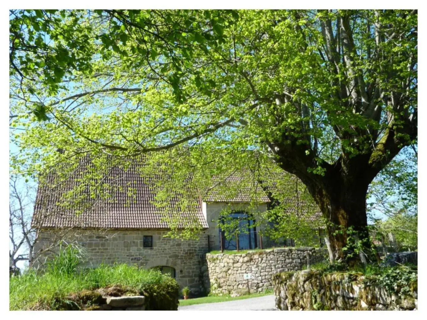 A L'Ombre Du Tilleul