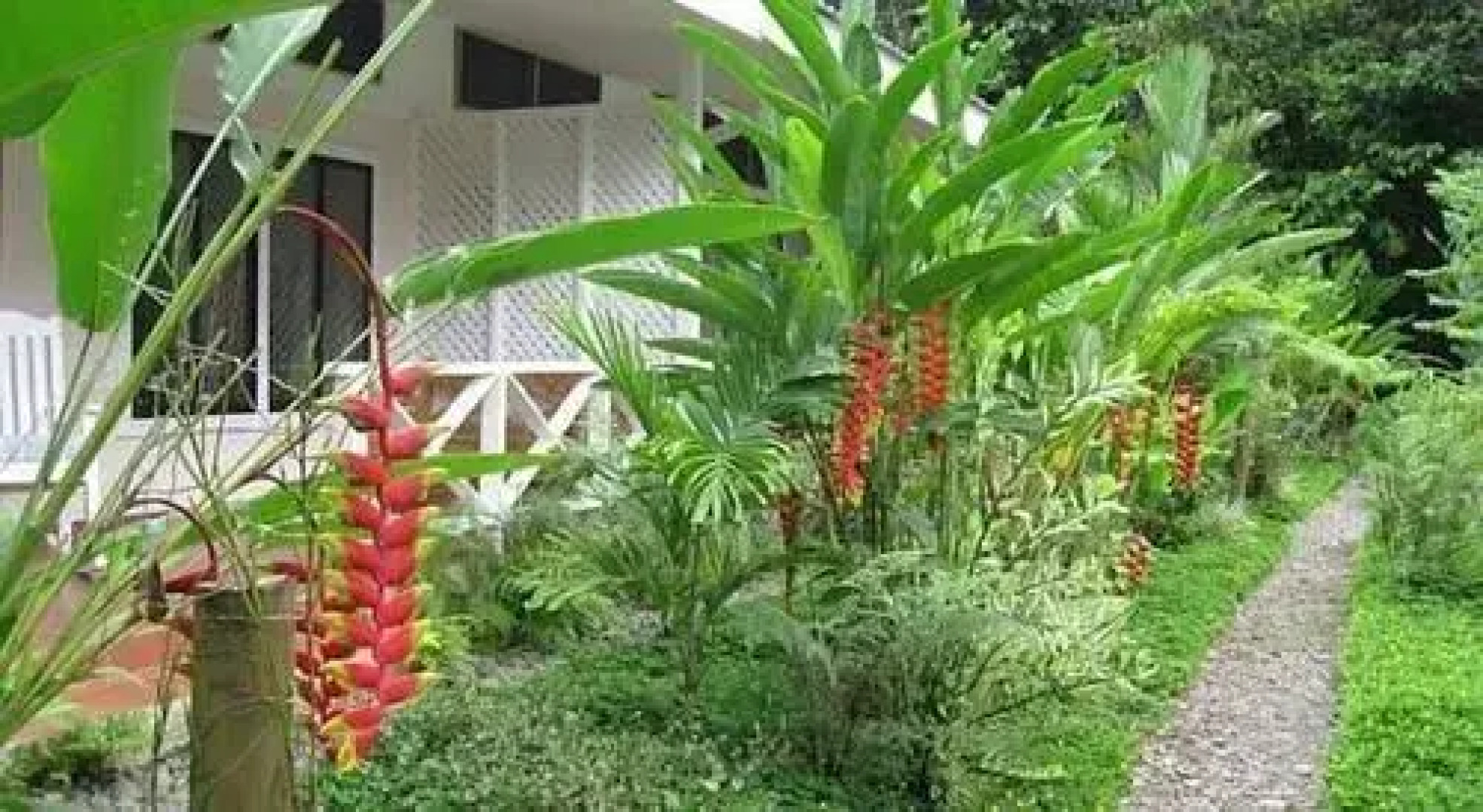 VIP Hotel Playa Negra