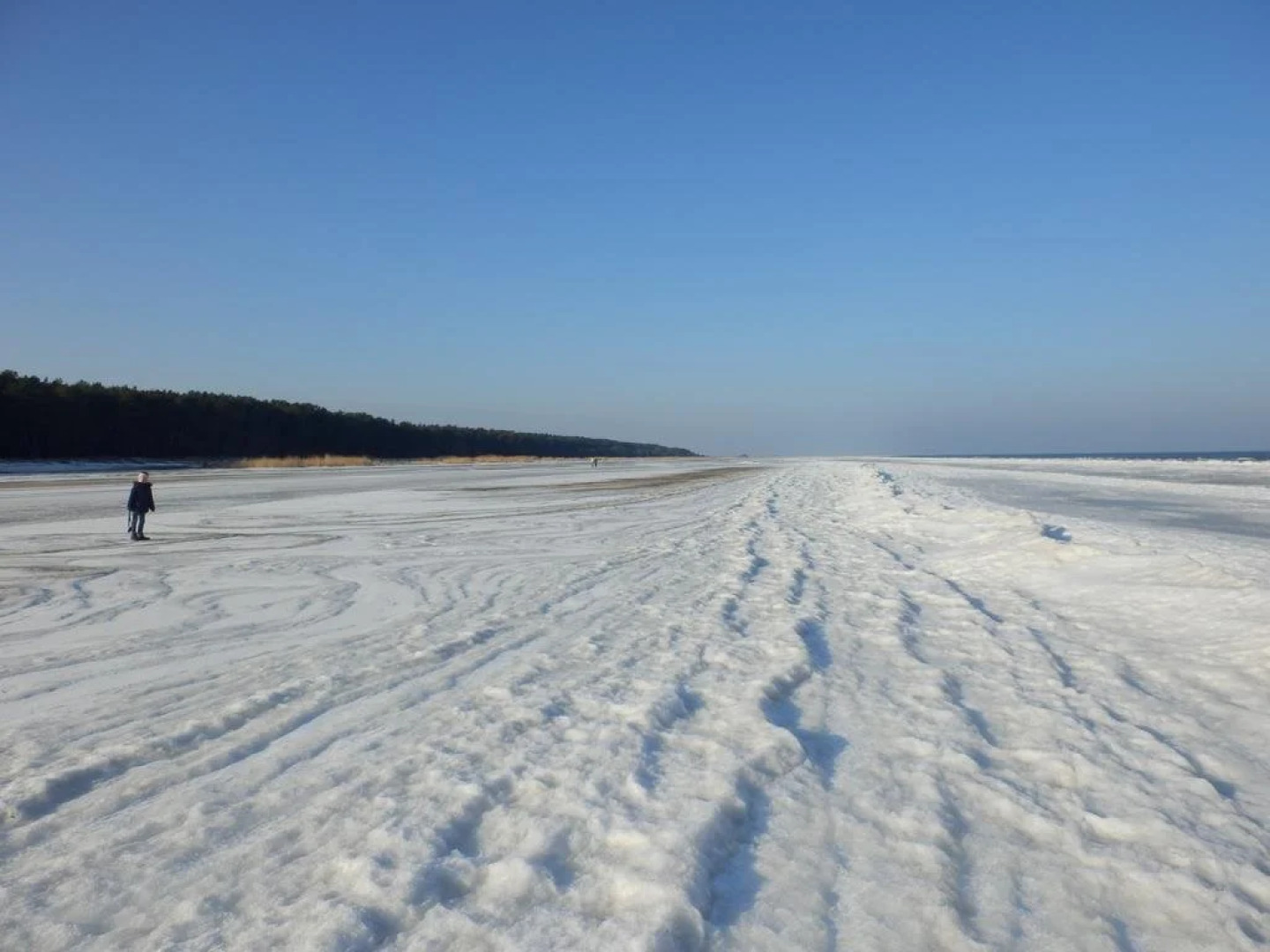 Baltisches Haus Pension Moll