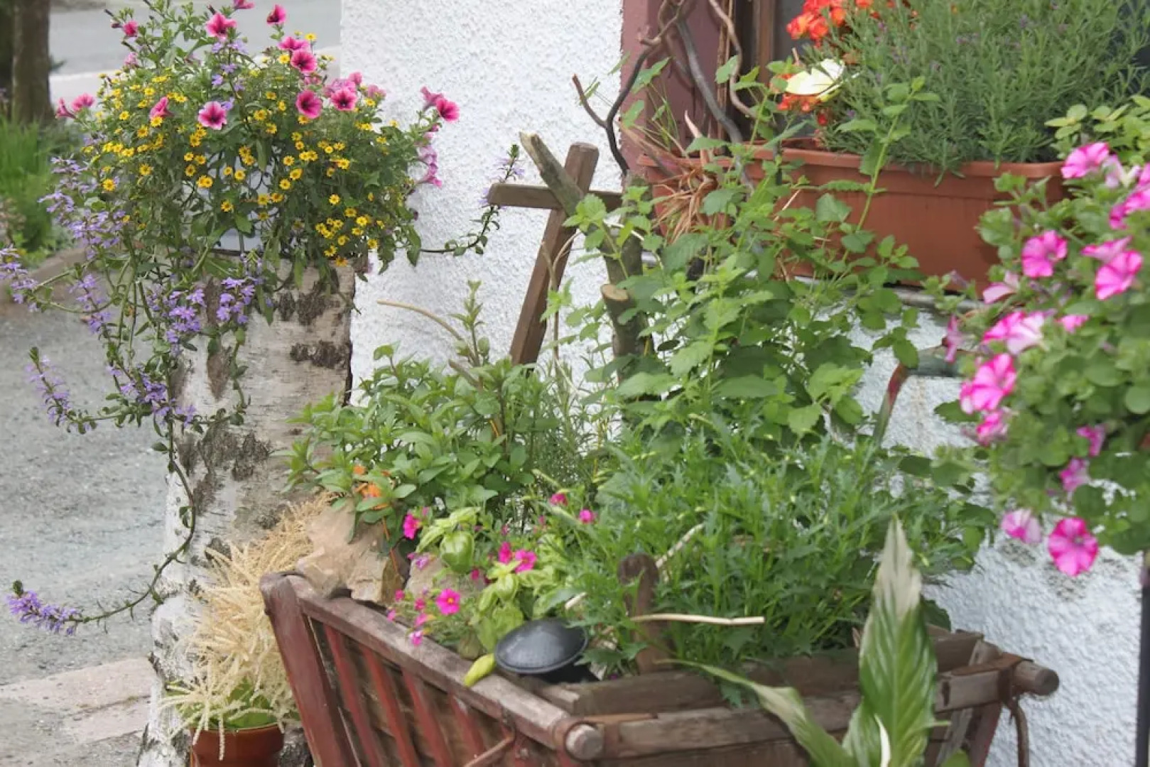 Hotel und Restaurant die Burg