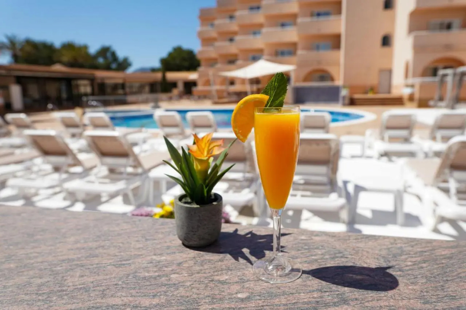 Rosamar Ibiza Hotel