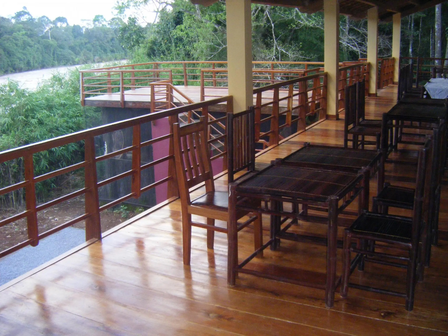 Forest Floor Lodge