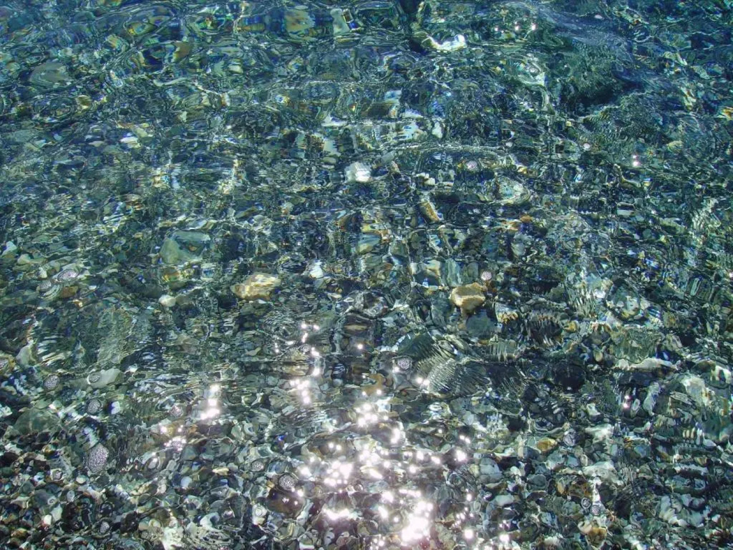 Apartment with 2 bedrooms in Brancaleone Marina with wonderful sea view and enclosed garden 200 m from the beach