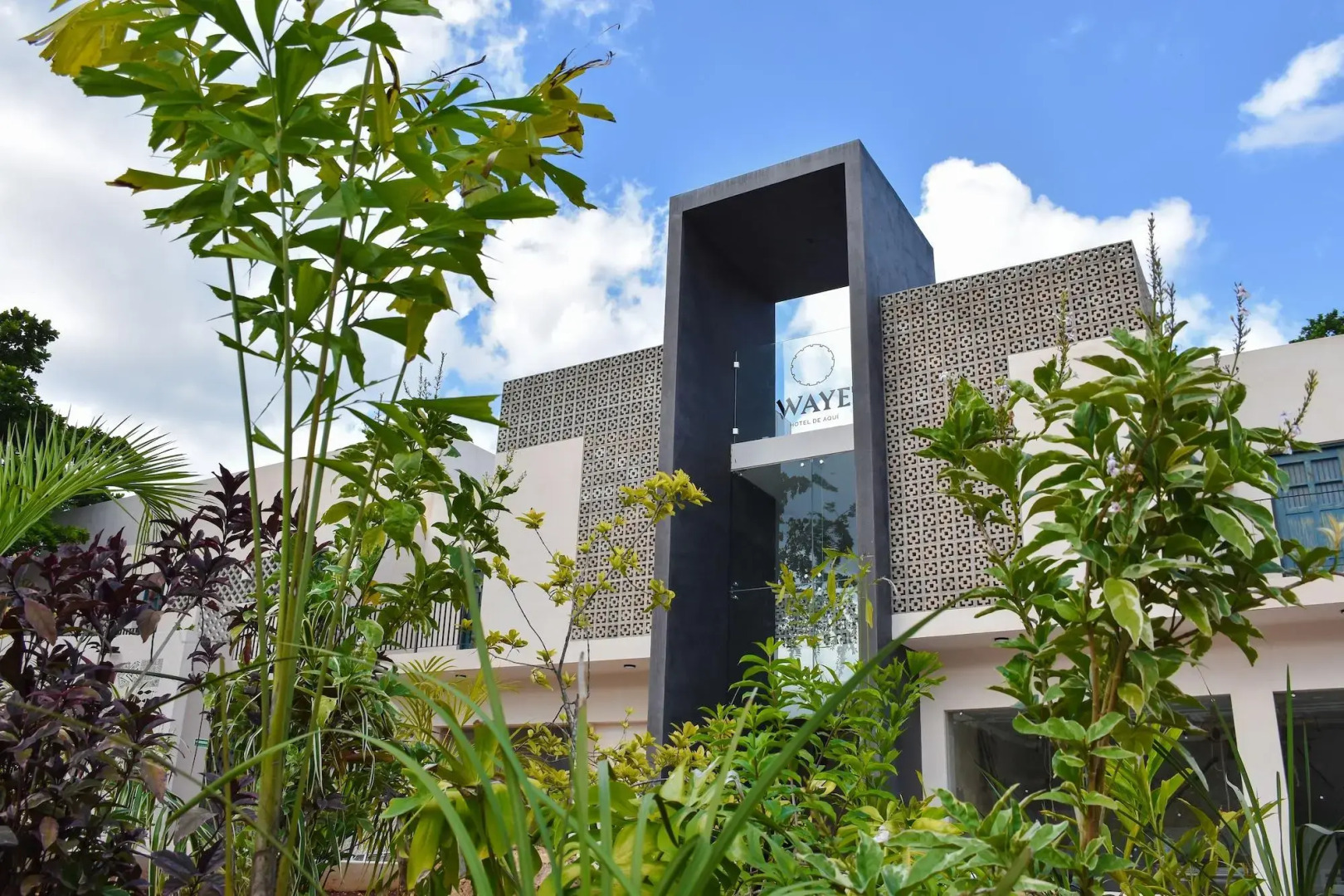 Waye Valladolid Centro – Sustainable, Authentic Experiences & Pet Friendly Boutique Hotel