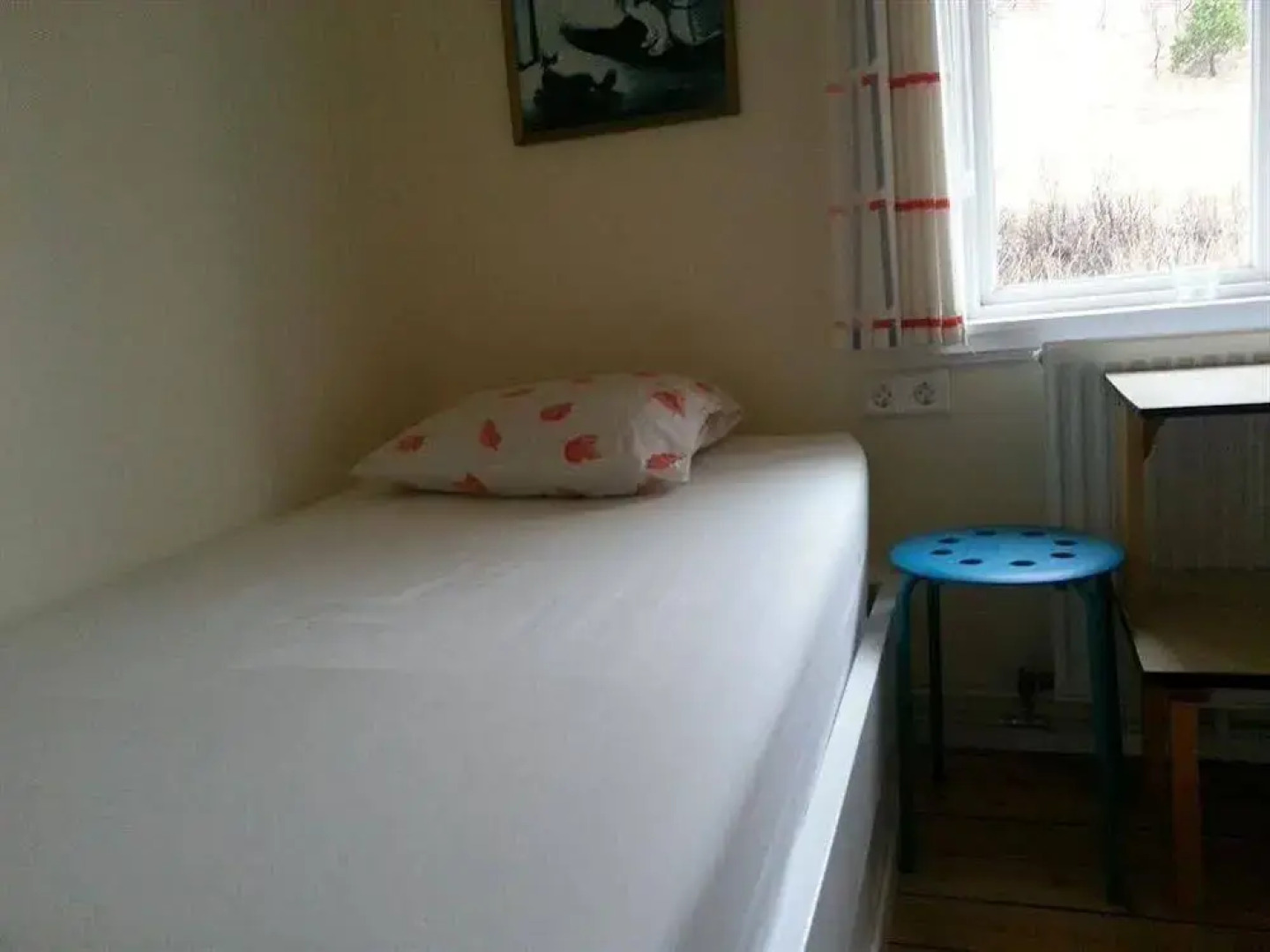 Puffin Hostel Vík