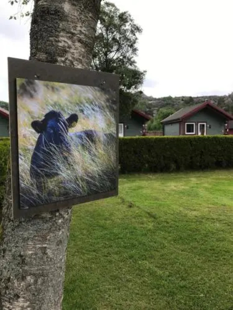 Steinsnes NAF Camping