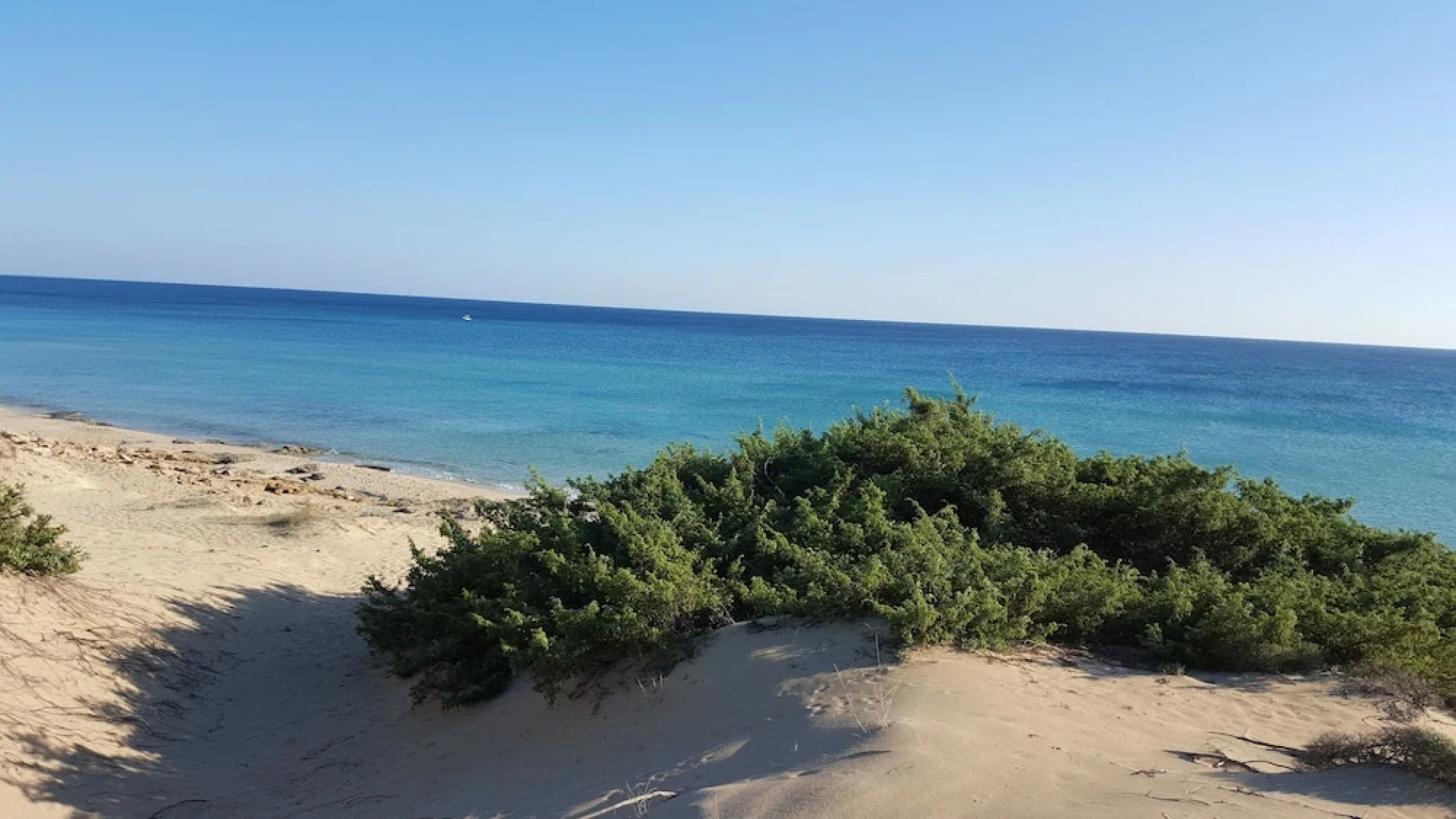 Villa Boschetto B&B - Apartments