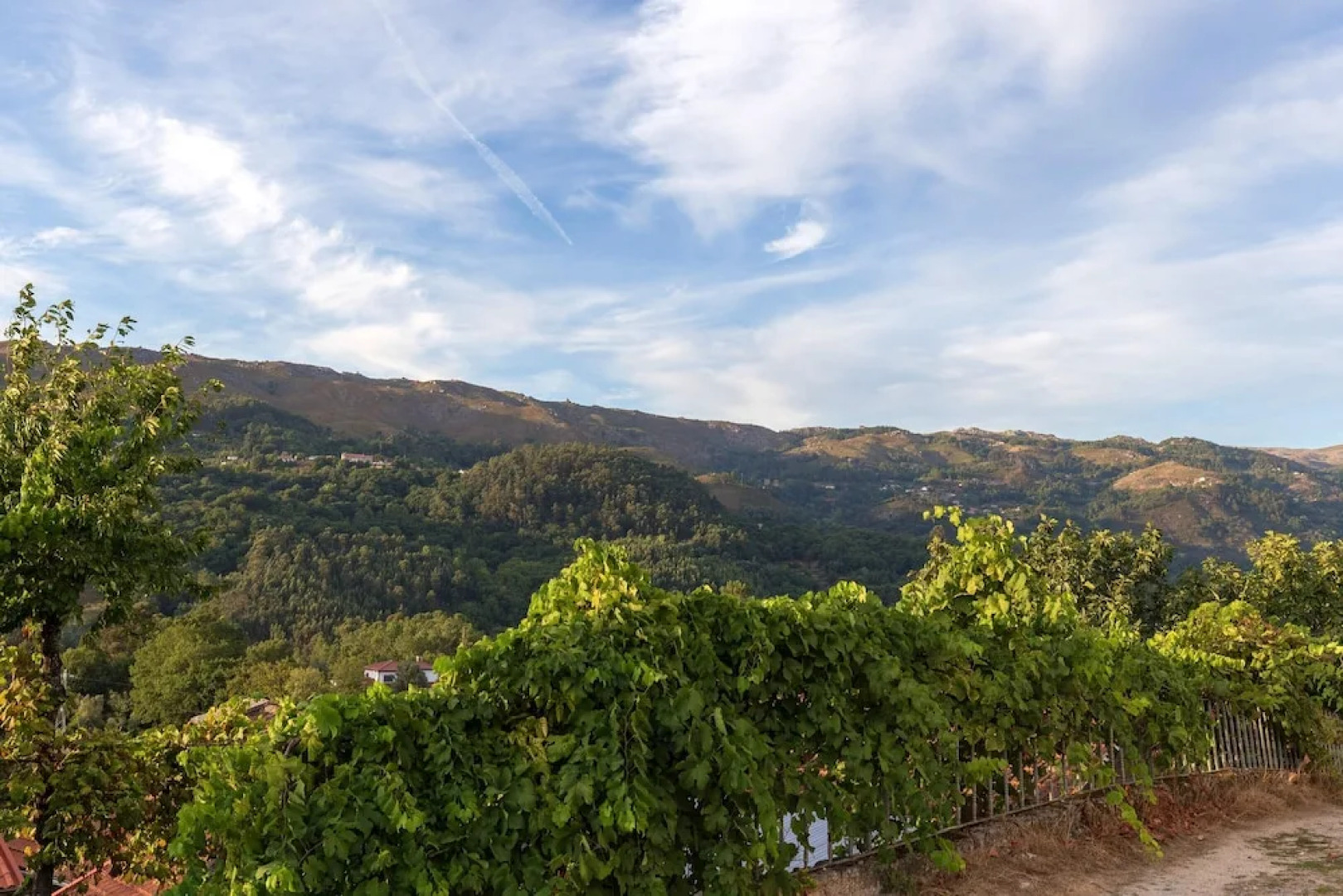 House With 3 Bedrooms in Travassós, With Wonderful Mountain View, Private Pool, Enclosed Garden