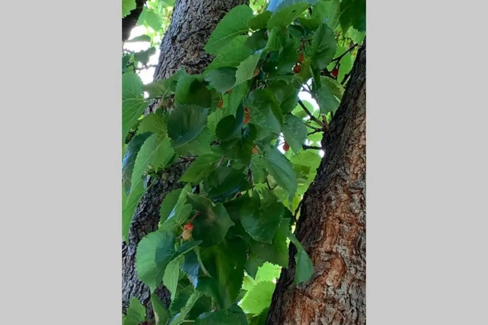 Sea-renity central to Port Elliot