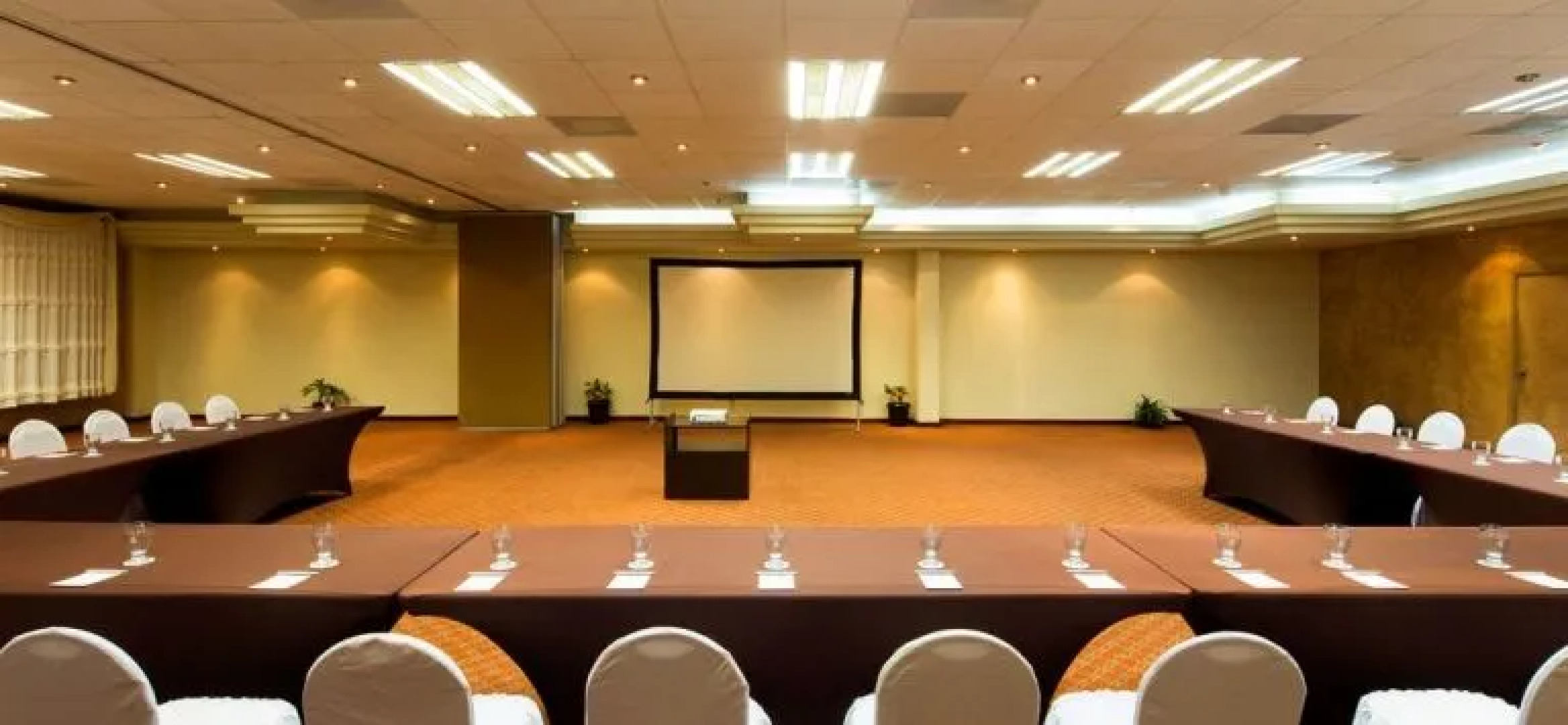 Villa del Palmar Residences