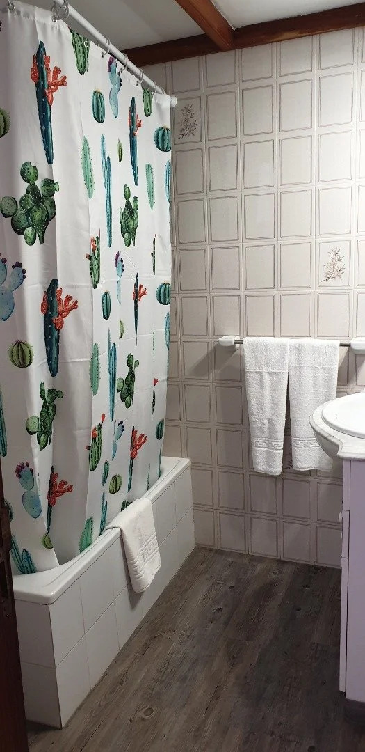 Apartamentos Borbalán y La Roseta