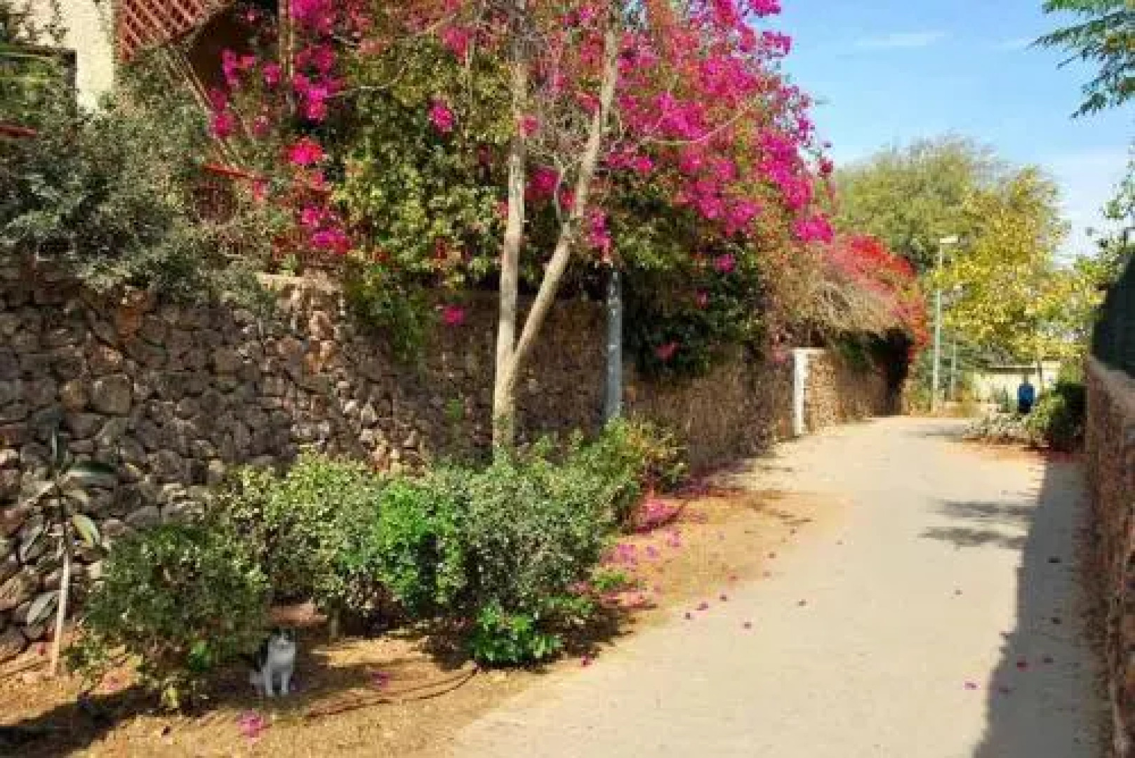 LeSaNel - Guest House