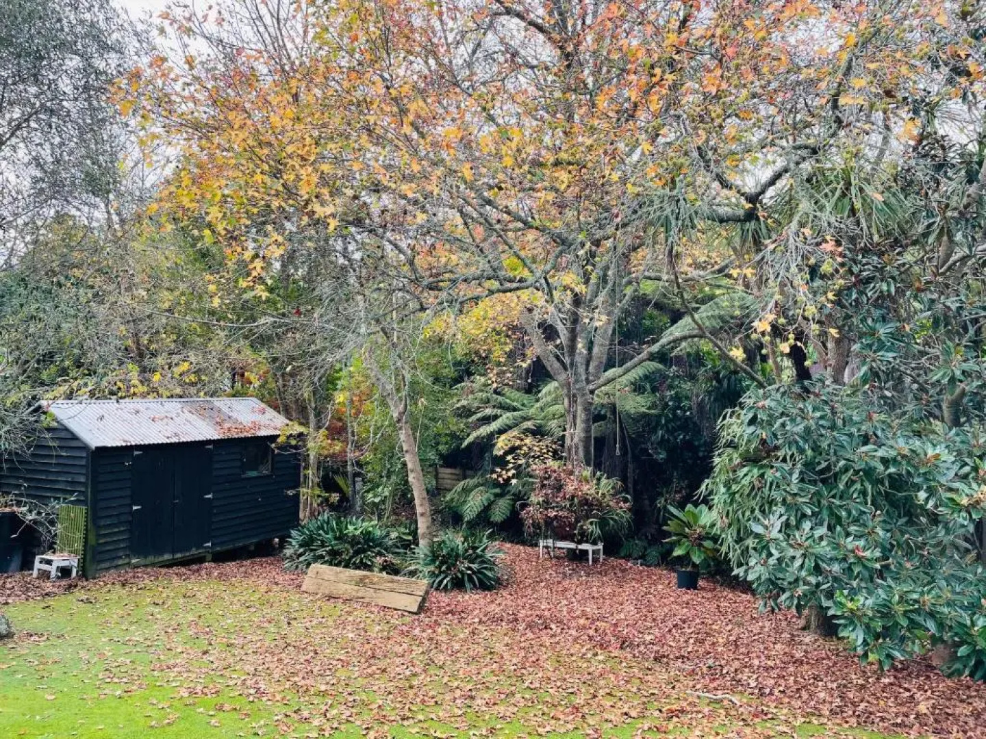 Whitby Studio - Mairangi Bay Beach