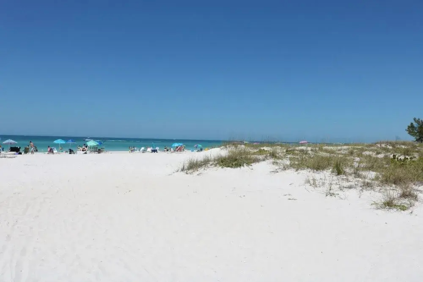 Tortuga Inn Beach Resort