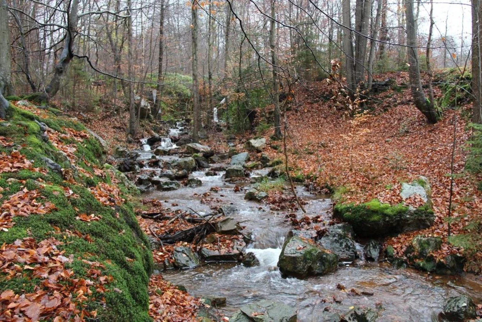 Domaine De Malchamps