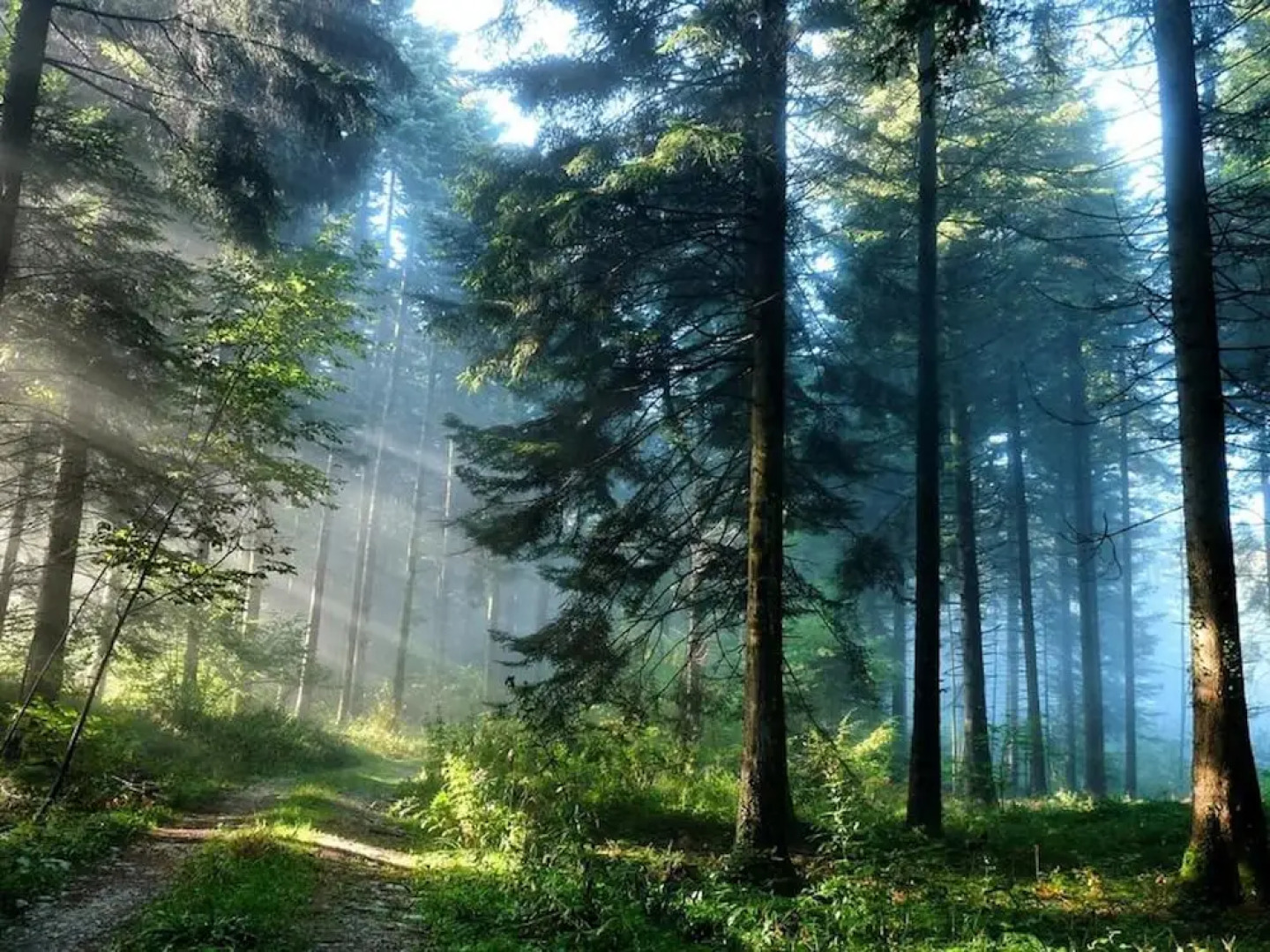 Sunny Villa, a Perfect Spacious Villa With Private Pool, Wifi & Ac in all Rooms