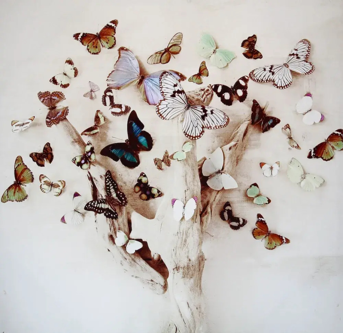 Week2Week Stunning 2 Bed Tynemouth Apartment