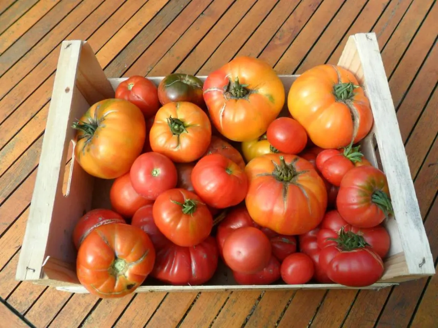 Chambres dHôtes La Turone