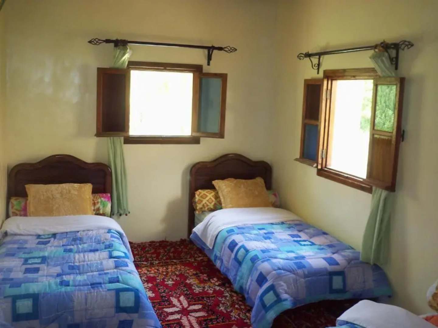 Safranière du M' Goun