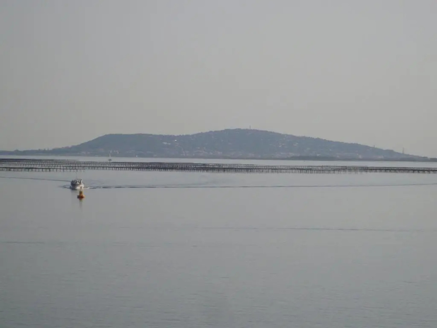 Port rive gauche Iona