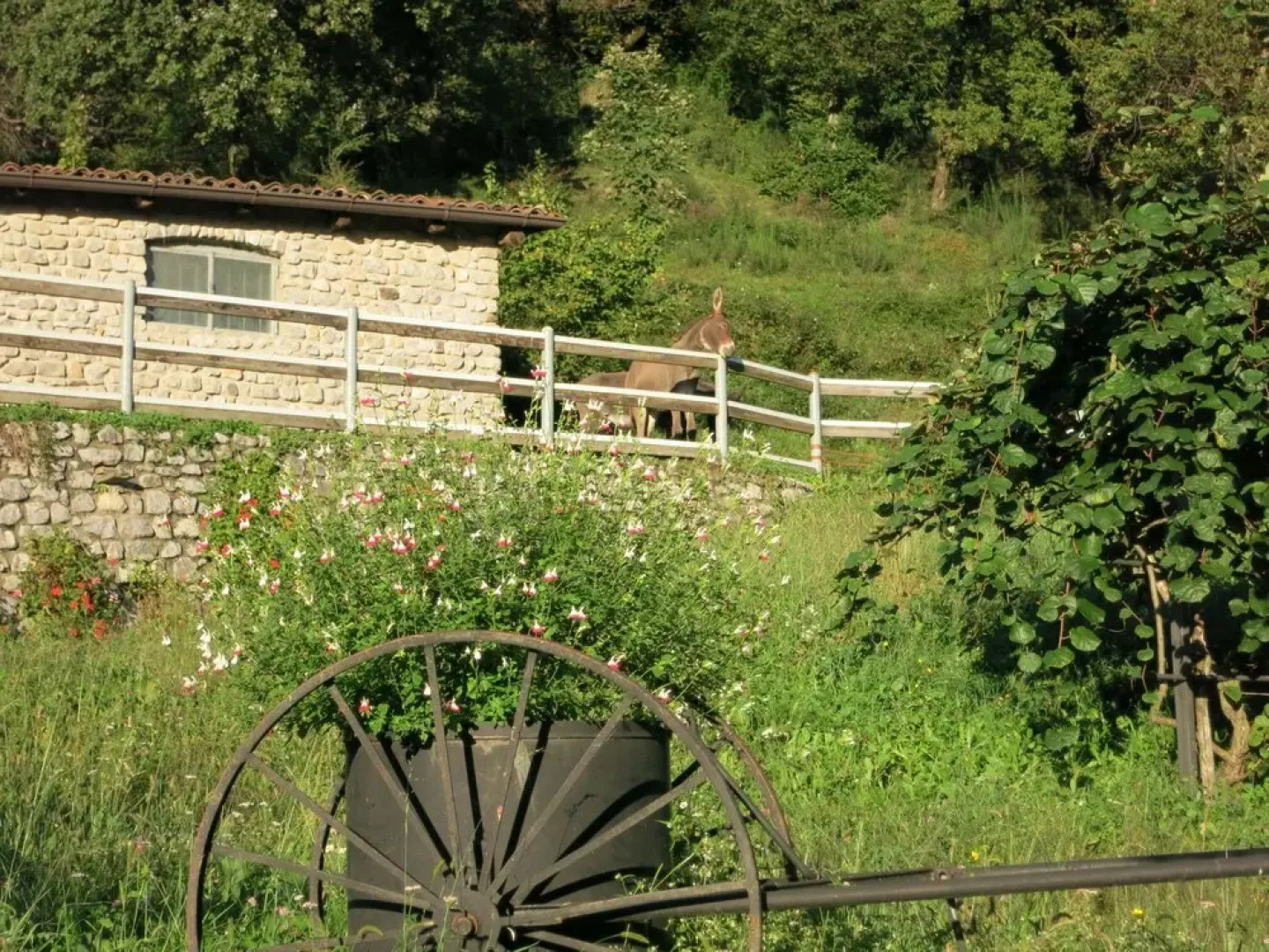 Agriturismo Deviscio