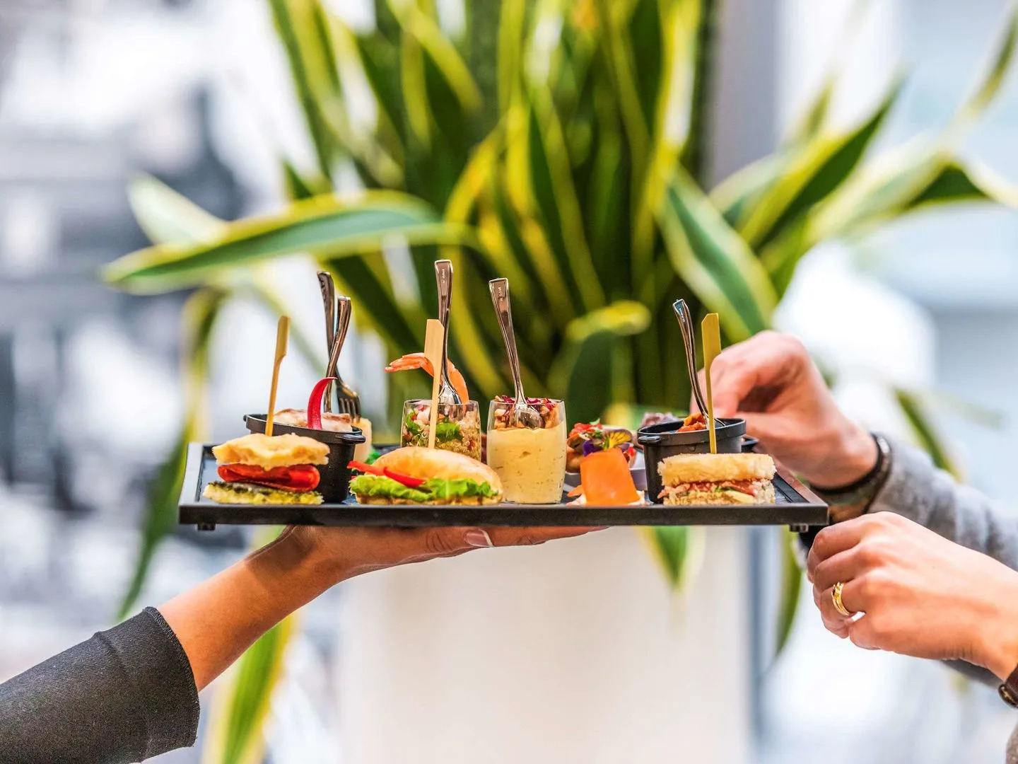 Novotel Toulouse Centre Wilson