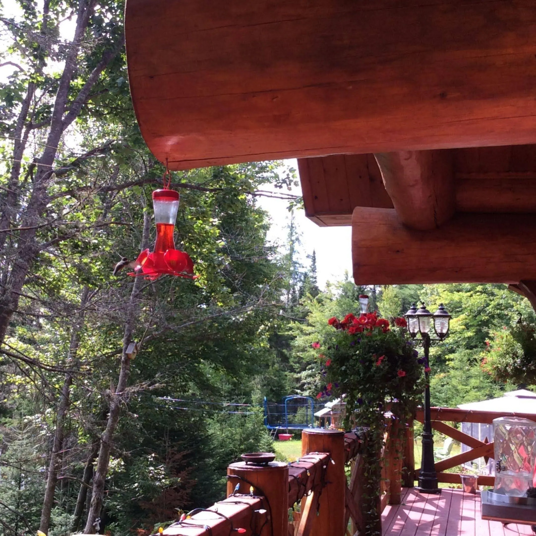 Le Gite des Merveilles