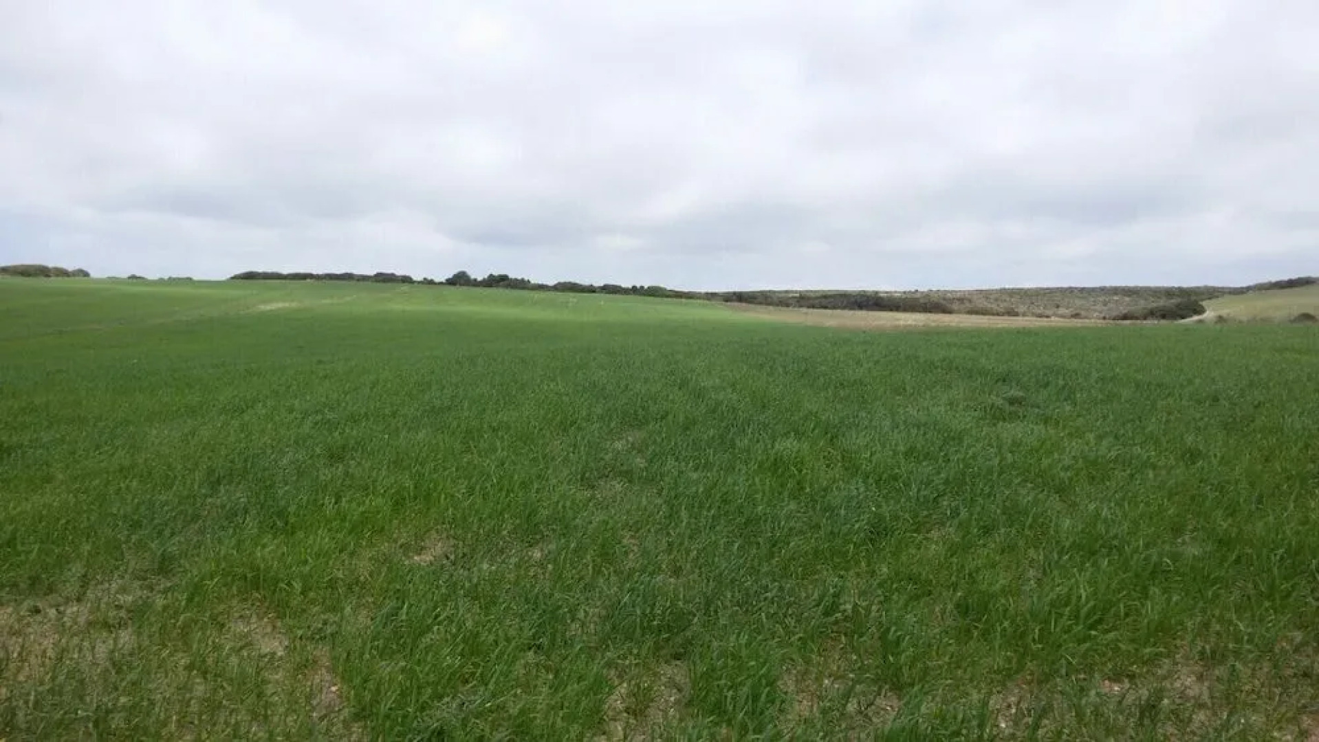 B&B Ecoturismo L'Elicriso