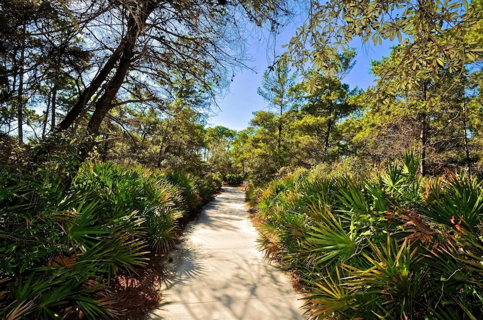 Beach Haven 3 Bedroom Condo By Coastal Dreamin