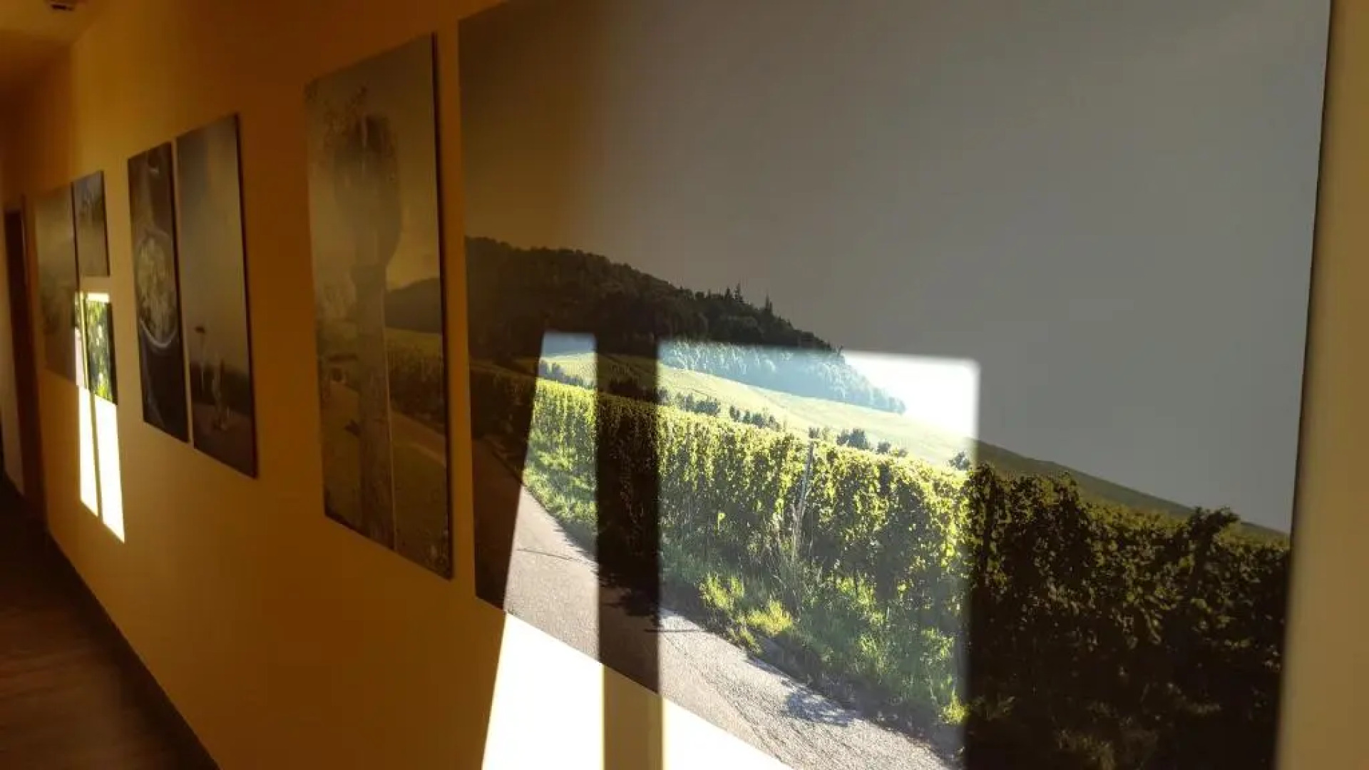 Der Patrizierhof - Weingut Gasthof Hotel - Familie Grebner