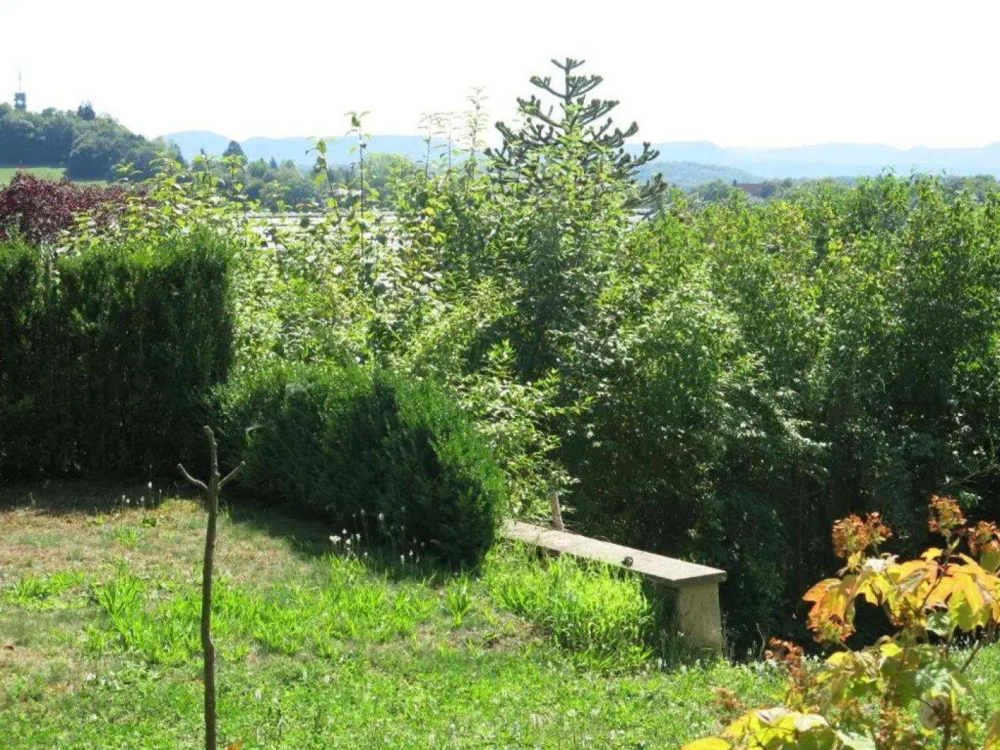 Zentrales 2-Zimmer Apartment