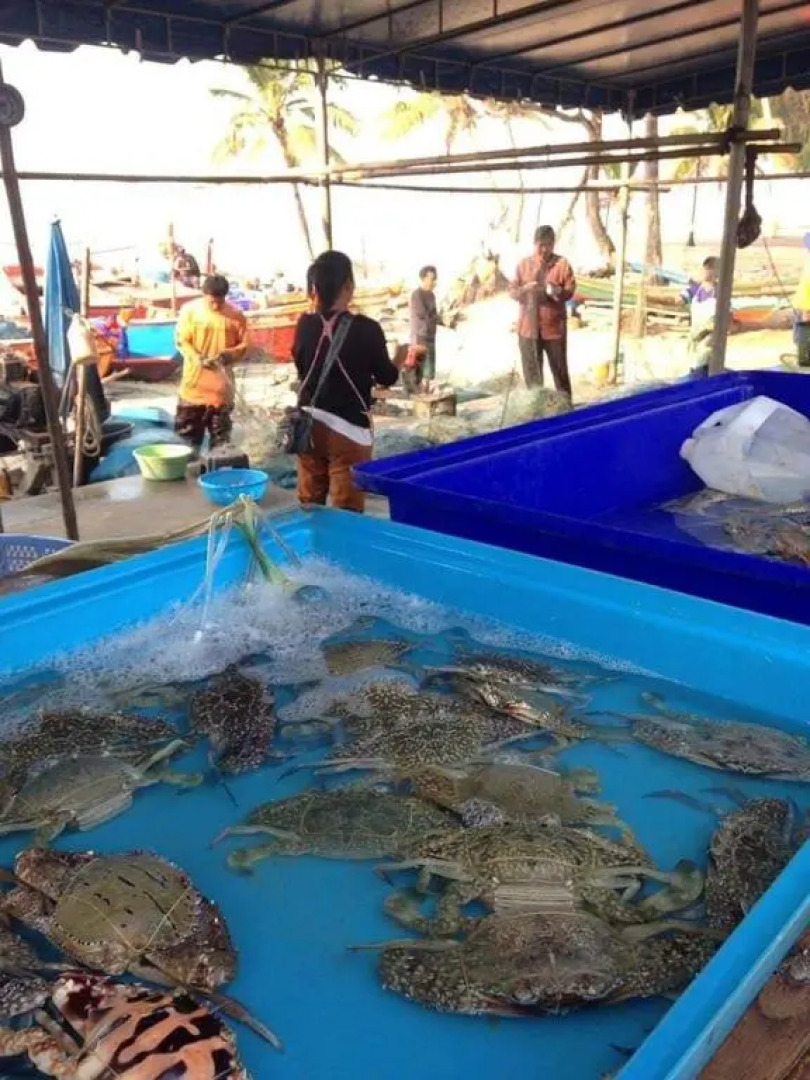 Blue Villa @Pinery Park Beach Rayong 2bdr Villa