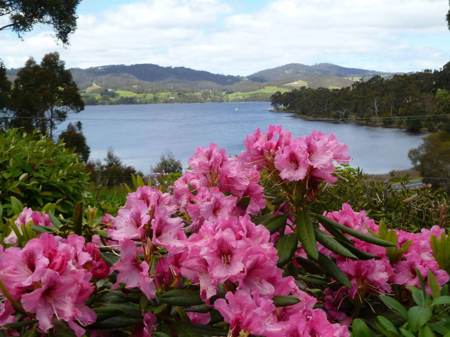 Donalea Bed & Breakfast