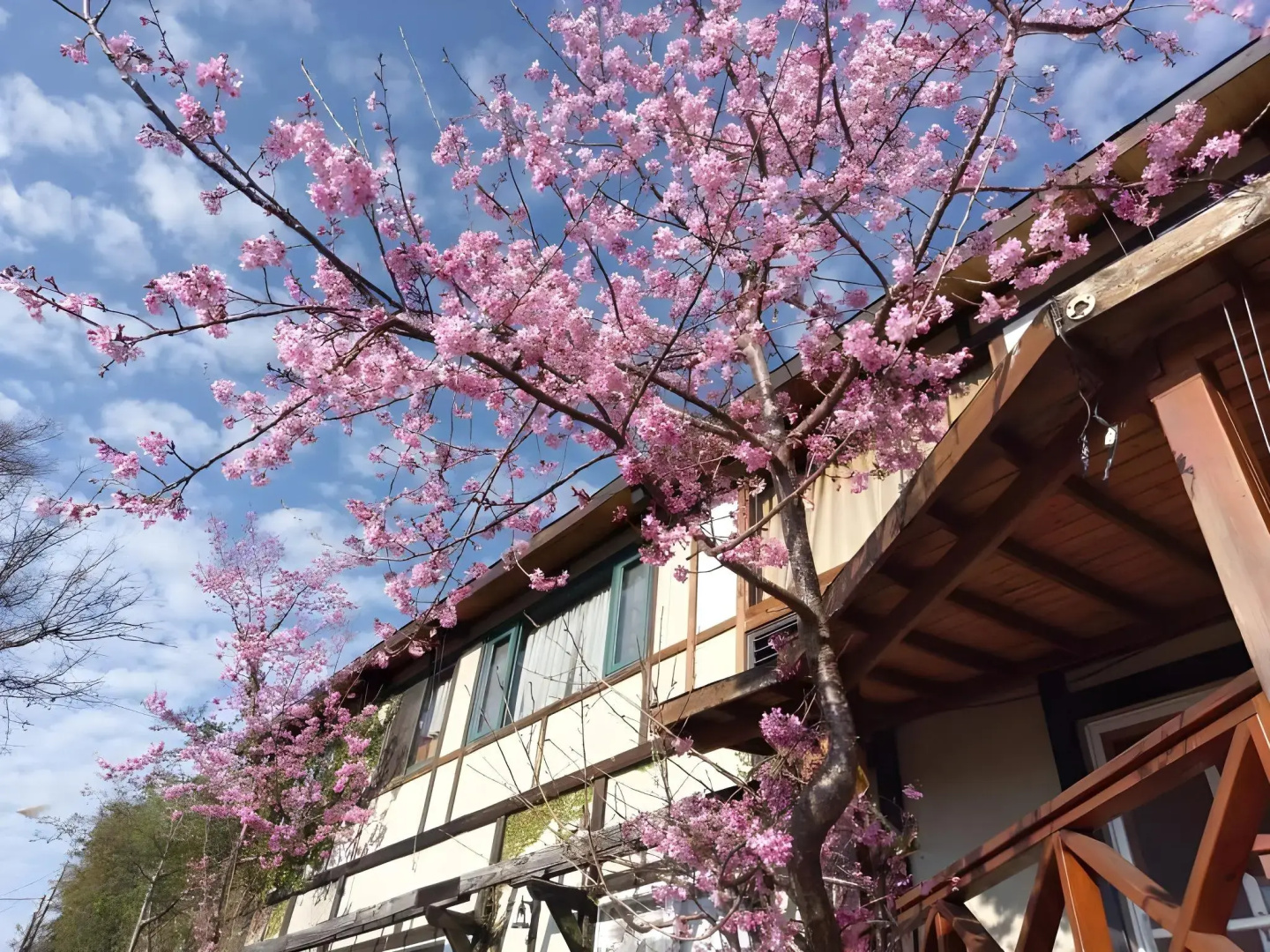 Shiyai Taoyuan B & B