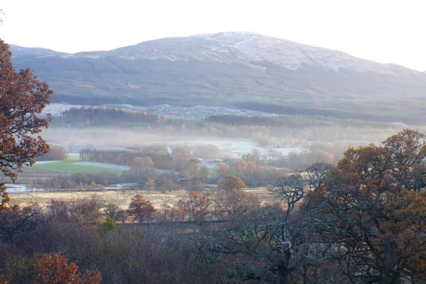 Cosy & compact Rowan Lodge no4