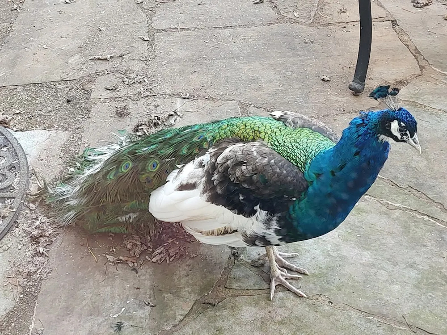 Briar Patch Bed & Breakfast Inn