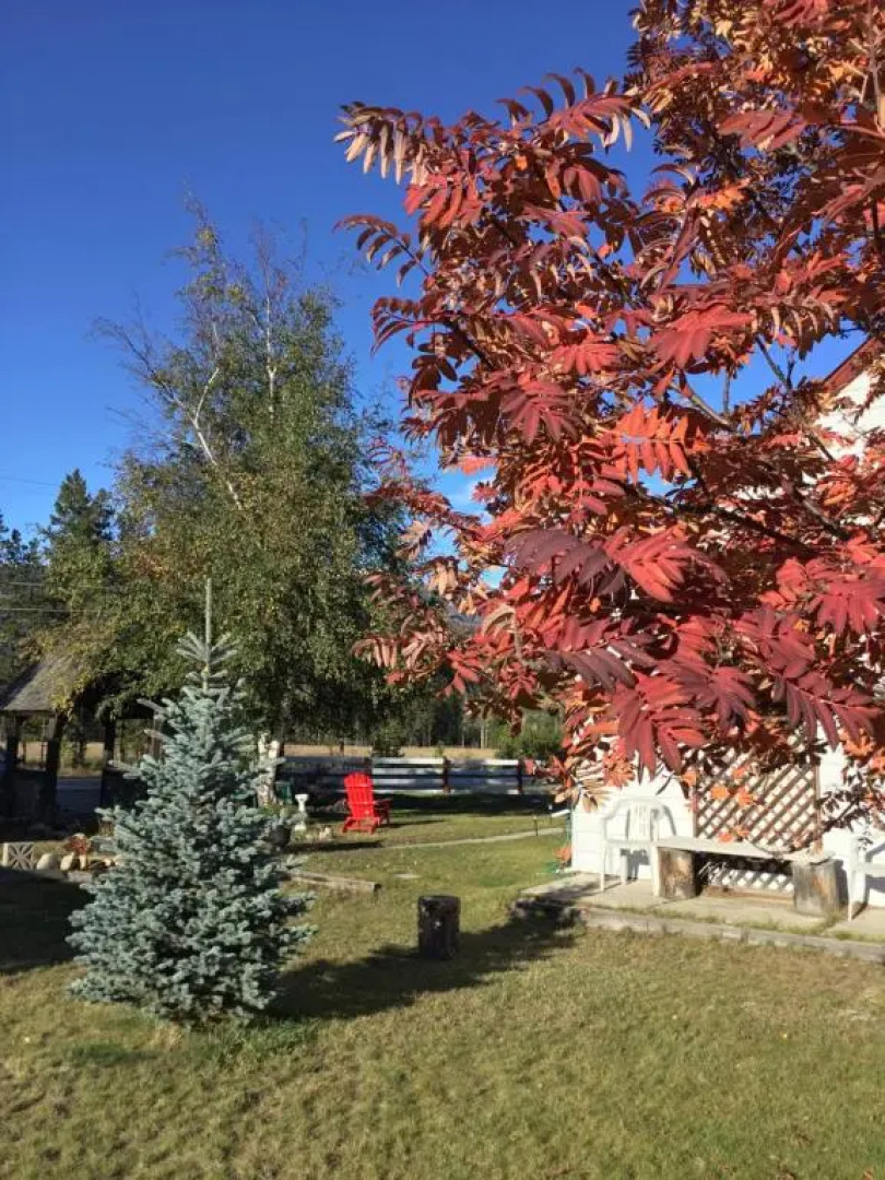 Rose Cottage Bed & Breakfast
