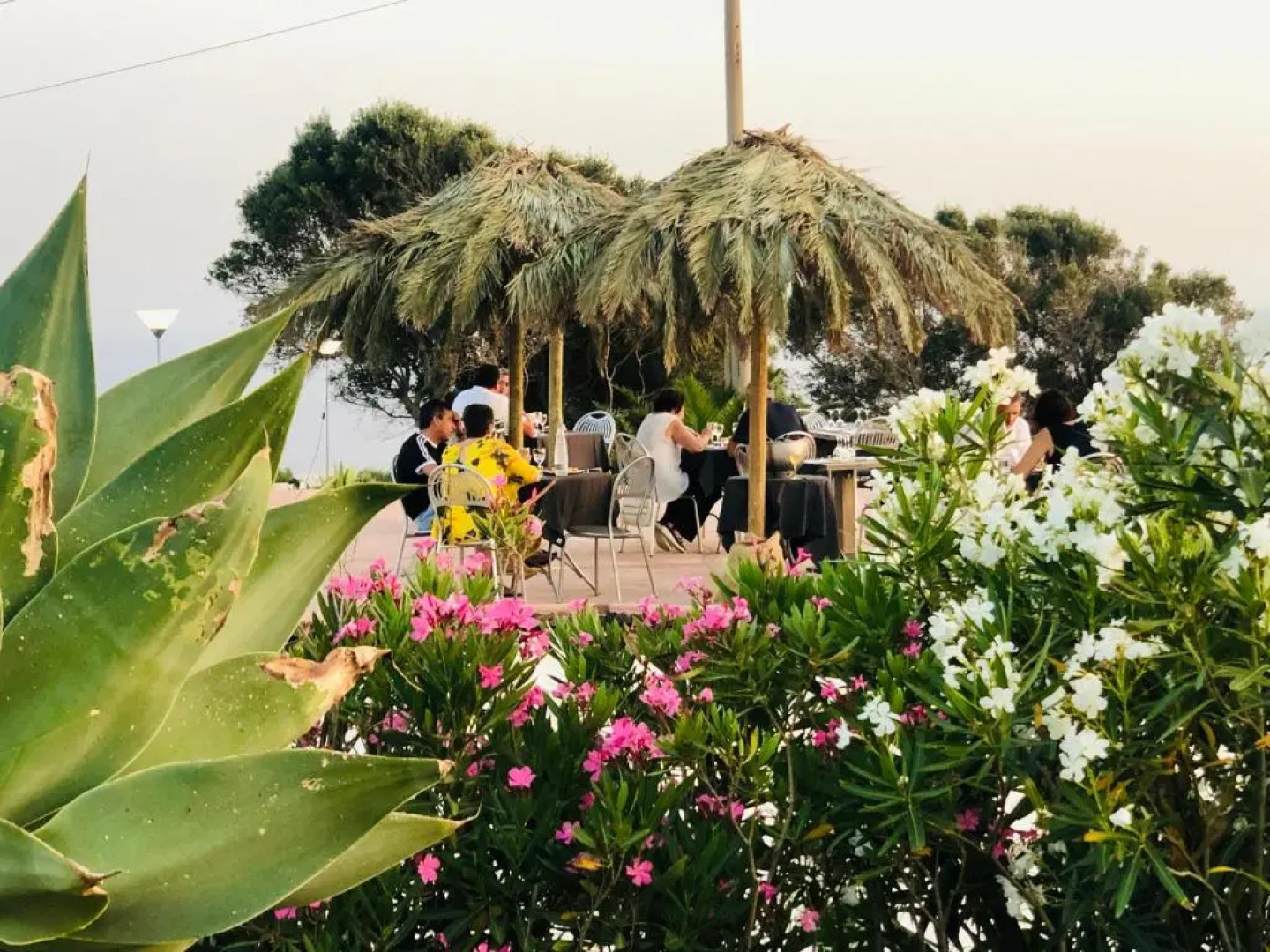 Dammusi Sciuvechi Resort