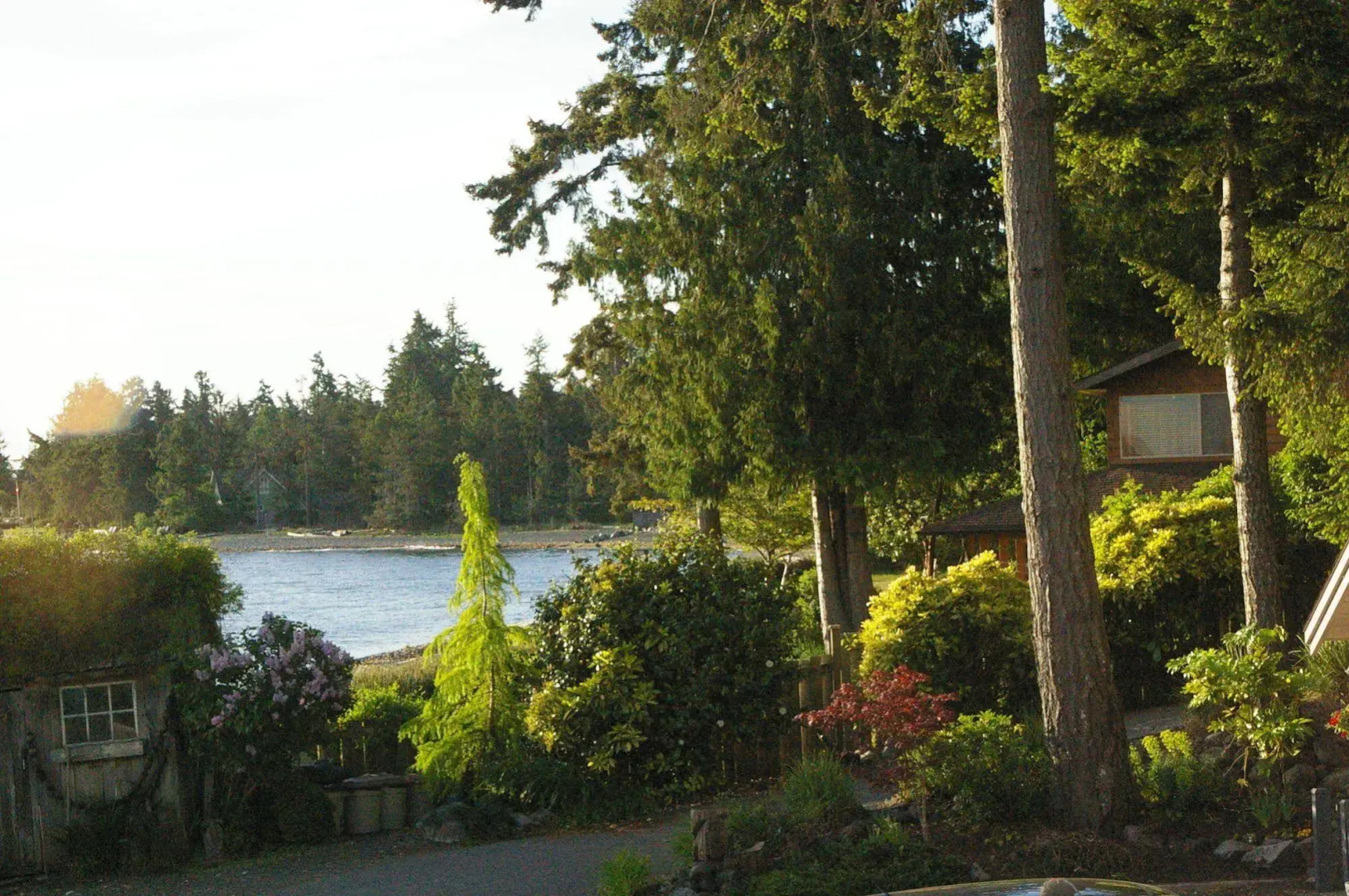 Shady Shores Beach Resort