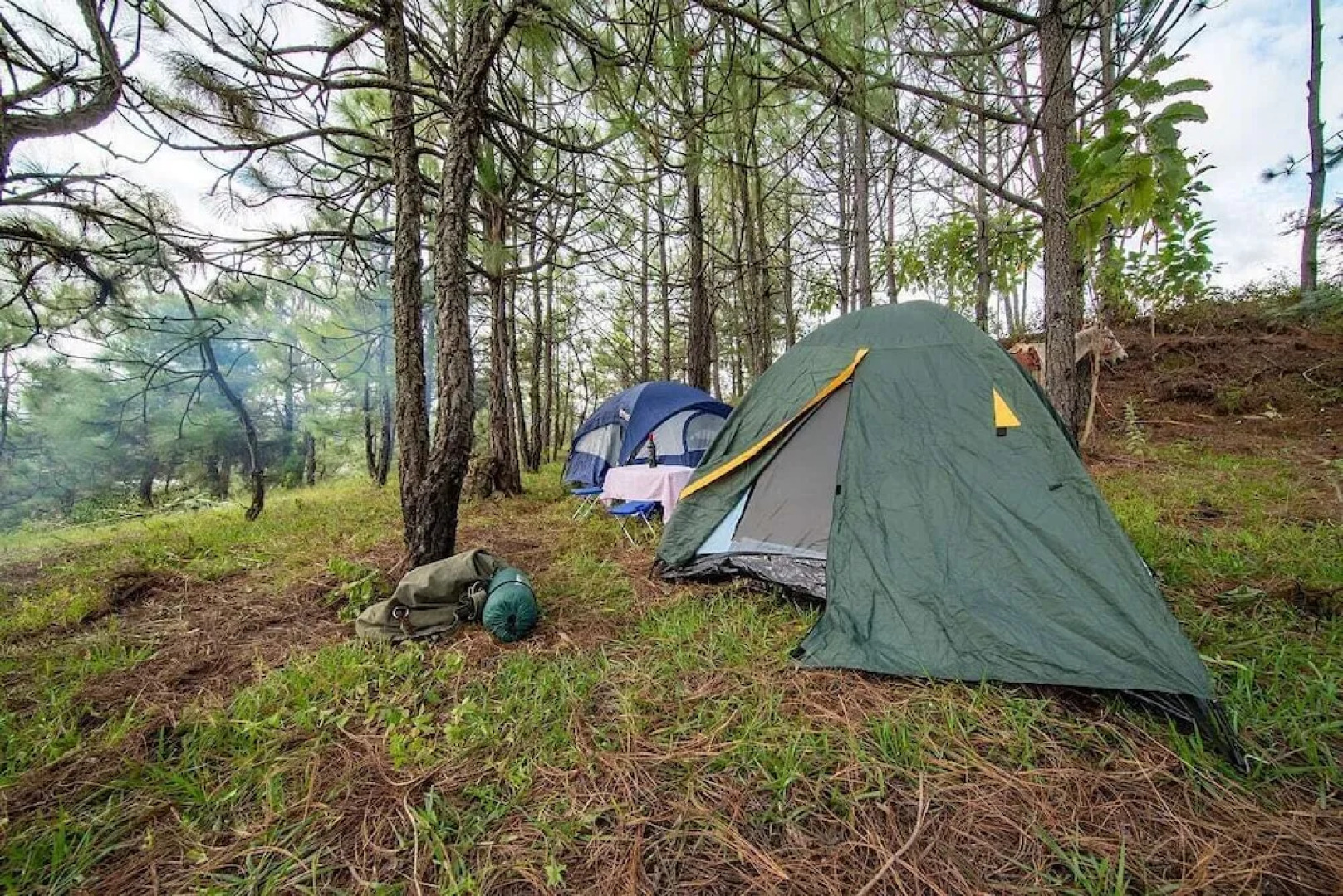 Camping de Los Peroles