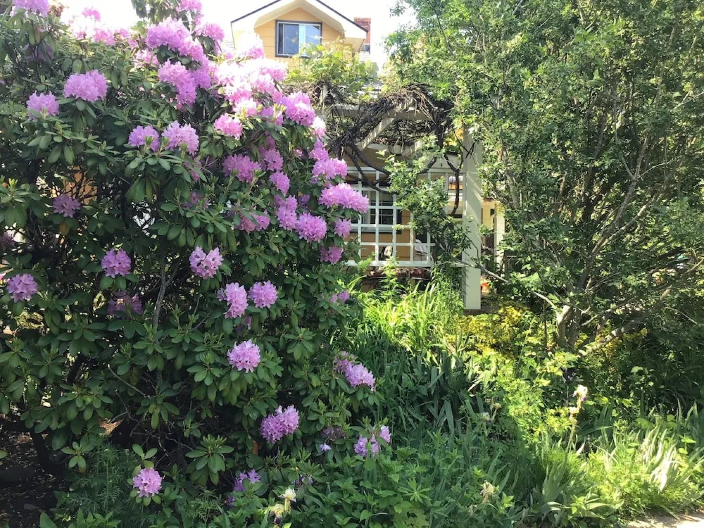 The Stella Rose B&B