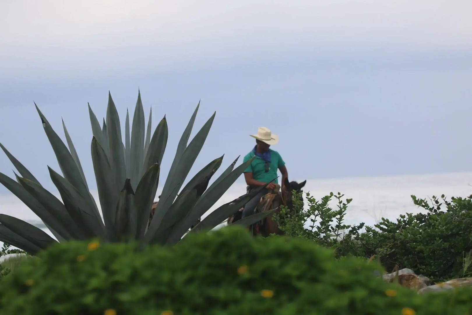 Troncones Point Hostel