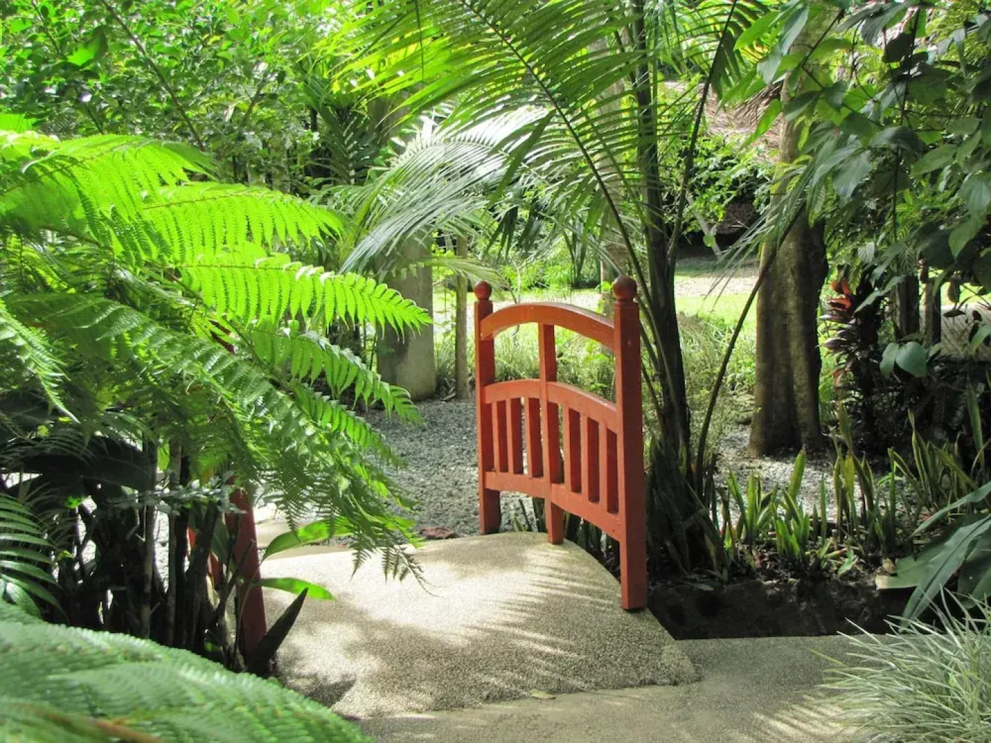 Habitat Bohol Highland Nature