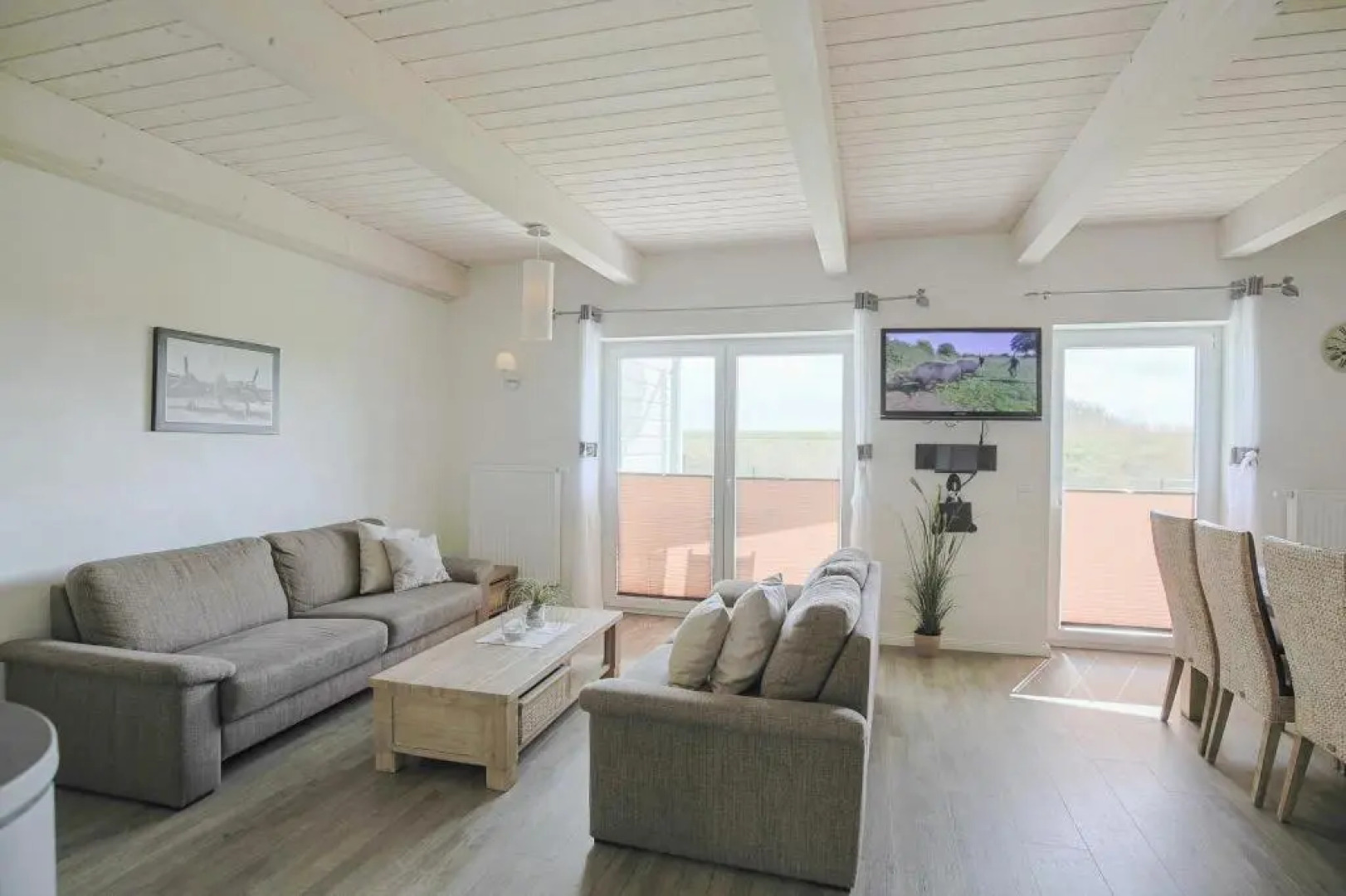 Ferienhaus - Lachmöwe