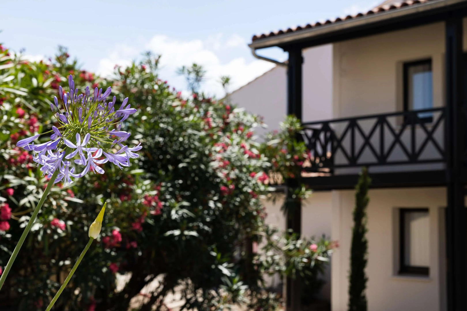 Best Western Premier Hotel des Vignes et des Anges