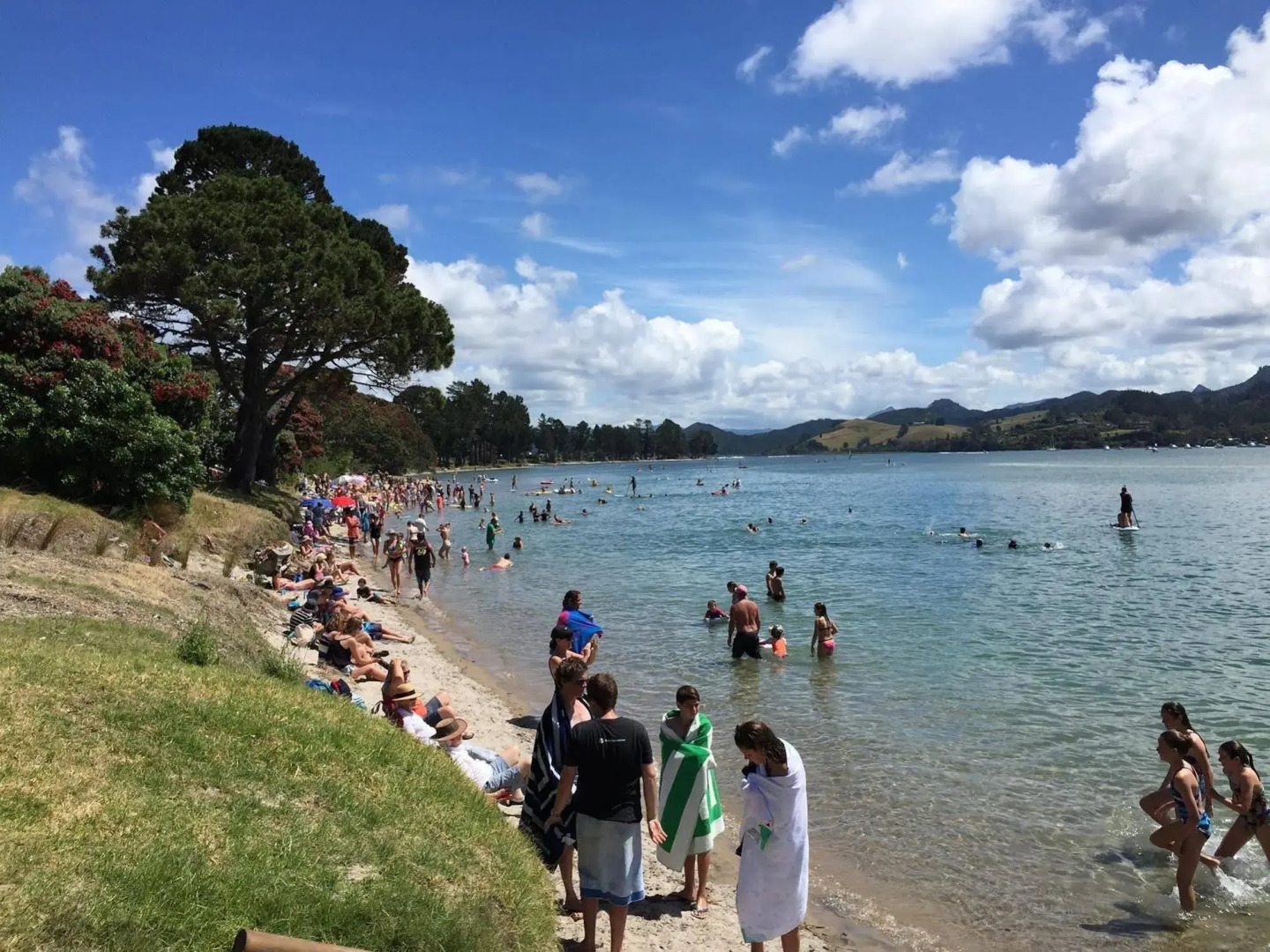 Pauanui Pines Motor Lodge