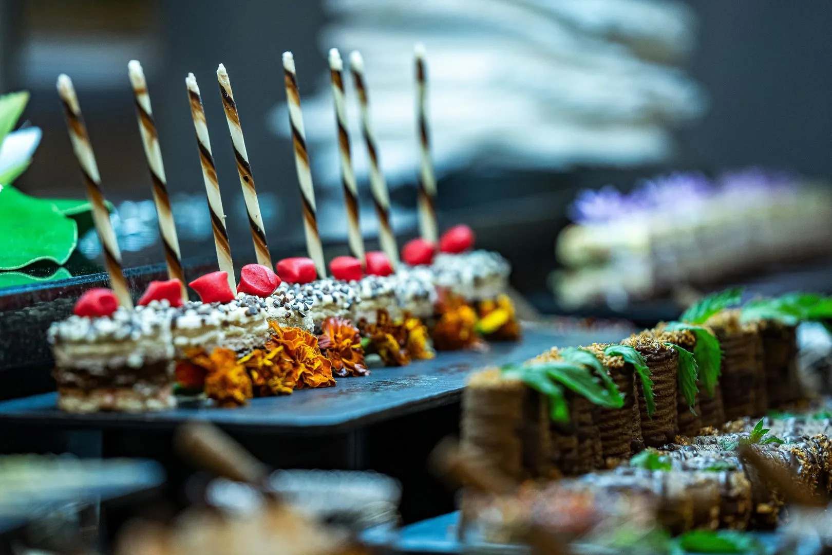 HVD Viva Club Hotel - Ultra All Inclusive