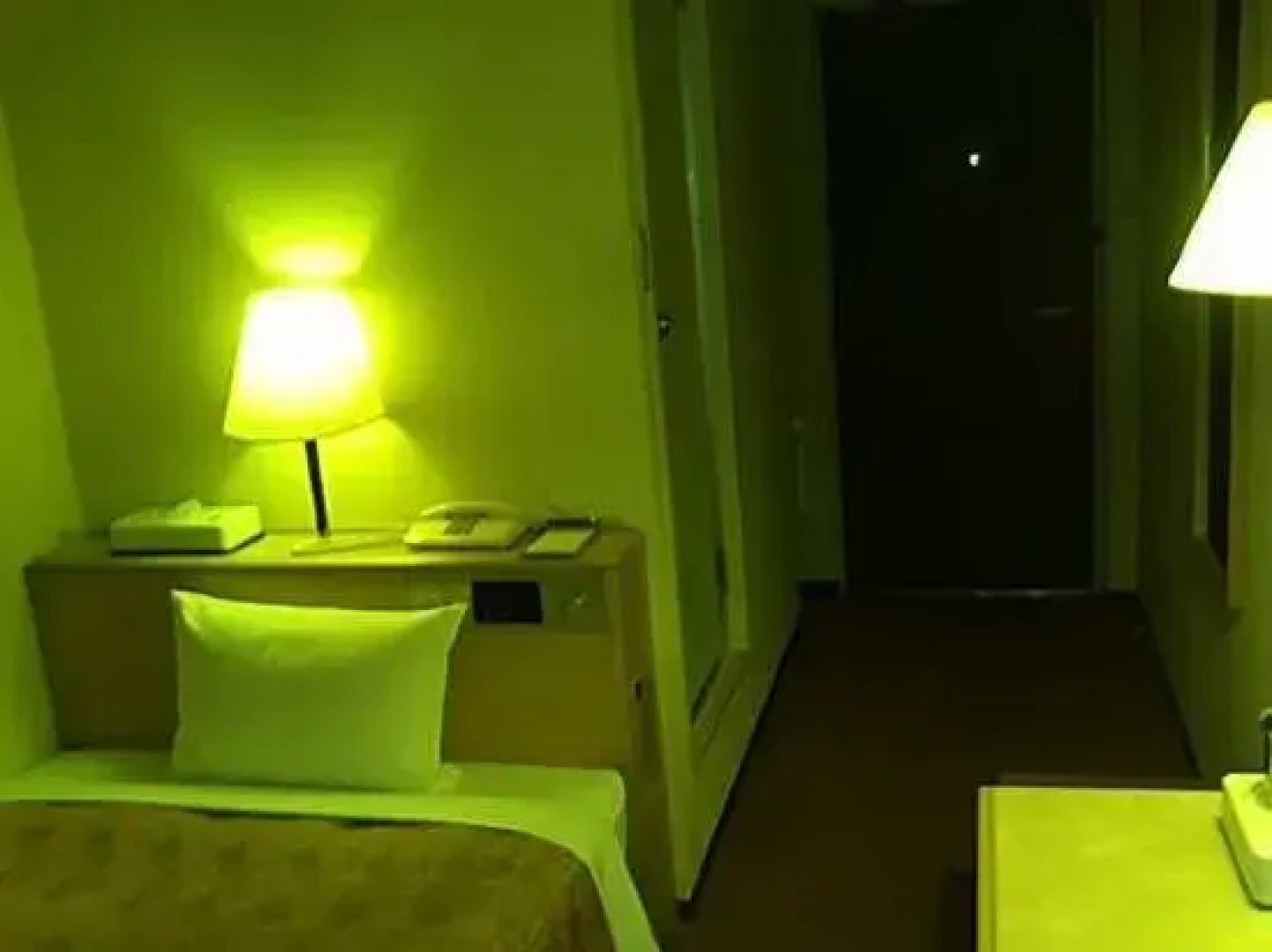 Isehara Daiichi Hotel